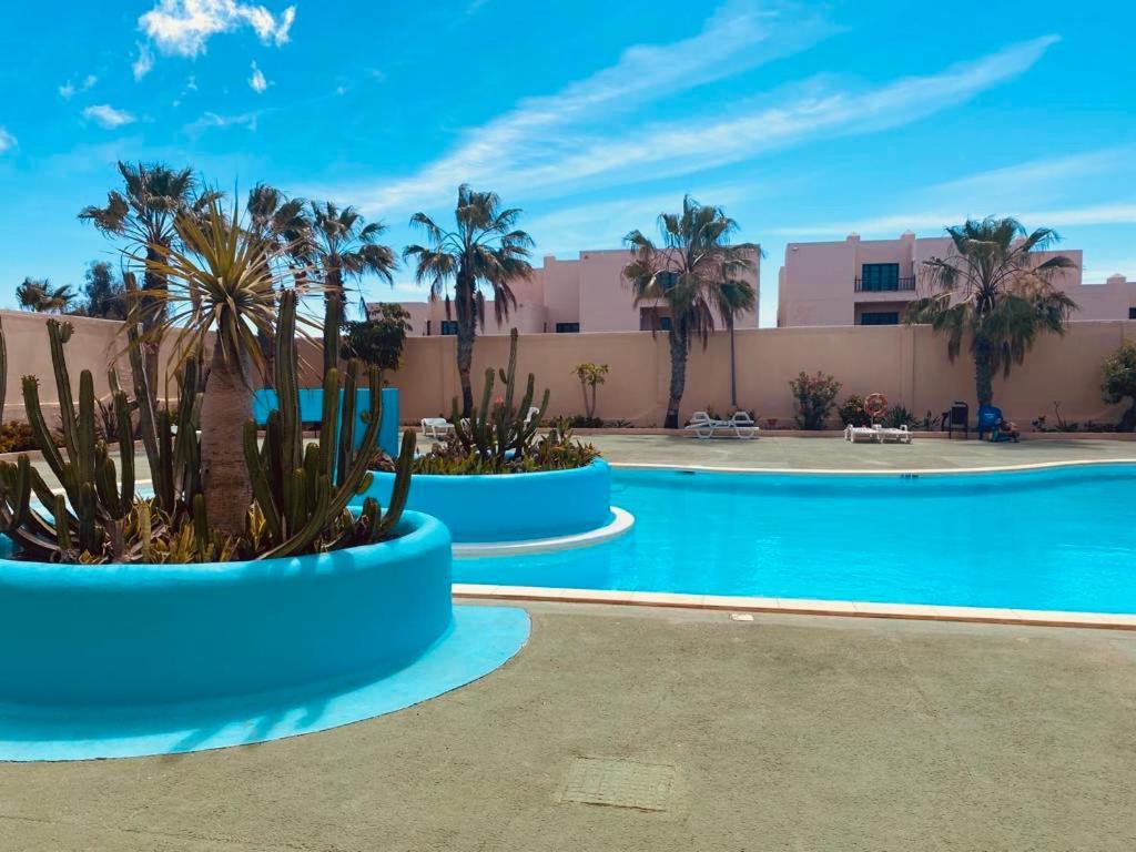 شقة Surf And Chill Bungalow 70 Parque Holandes المظهر الخارجي الصورة