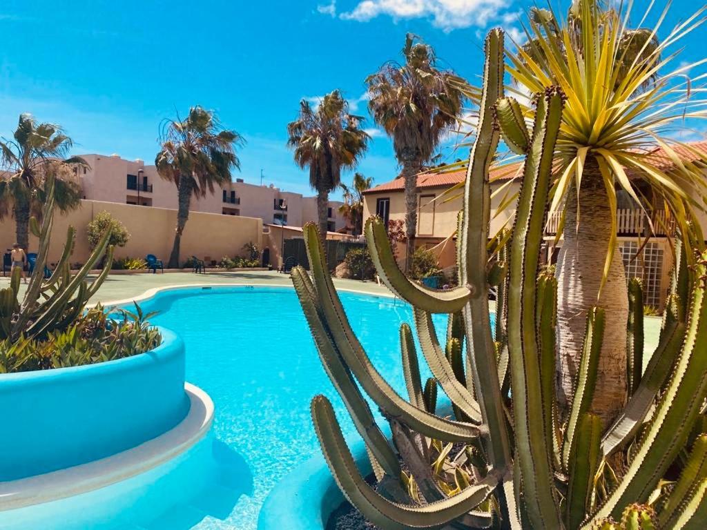 شقة Surf And Chill Bungalow 70 Parque Holandes المظهر الخارجي الصورة