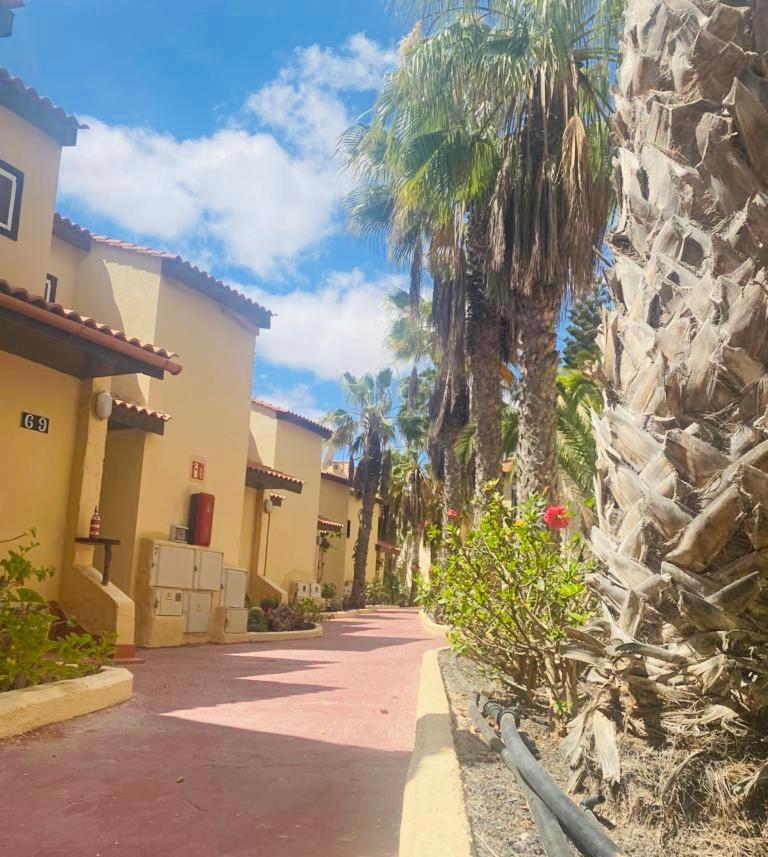شقة Surf And Chill Bungalow 70 Parque Holandes المظهر الخارجي الصورة